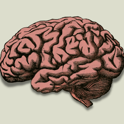 Neurociencias aplicadas